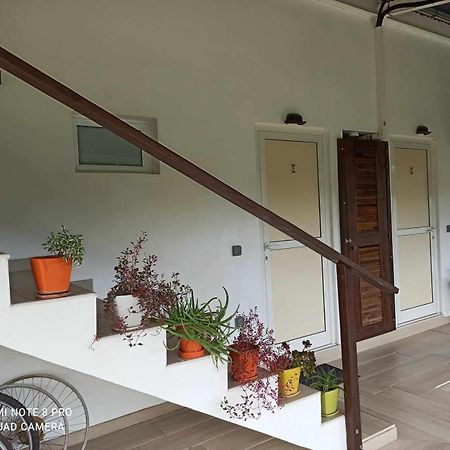 La Maison Du Voyage Tevaitoa Zewnętrze zdjęcie